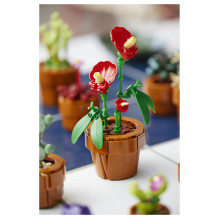 LEGO Botanicals mažyčiai augalai LEGO Botanicals mažyčiai augalai