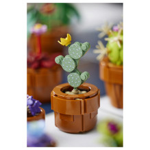 LEGO Botanicals mažyčiai augalai LEGO Botanicals mažyčiai augalai