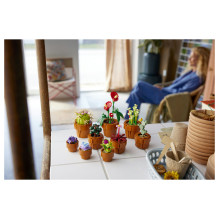 LEGO Botanicals mažyčiai augalai LEGO Botanicals mažyčiai augalai