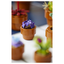 LEGO Botanicals mažyčiai augalai LEGO Botanicals mažyčiai augalai