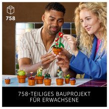 LEGO Botanicals mažyčiai augalai LEGO Botanicals mažyčiai augalai