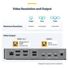 StarTech.com DK30C2DPEPRUE laptop dock / port replicator
