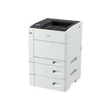 Ricoh P-C375