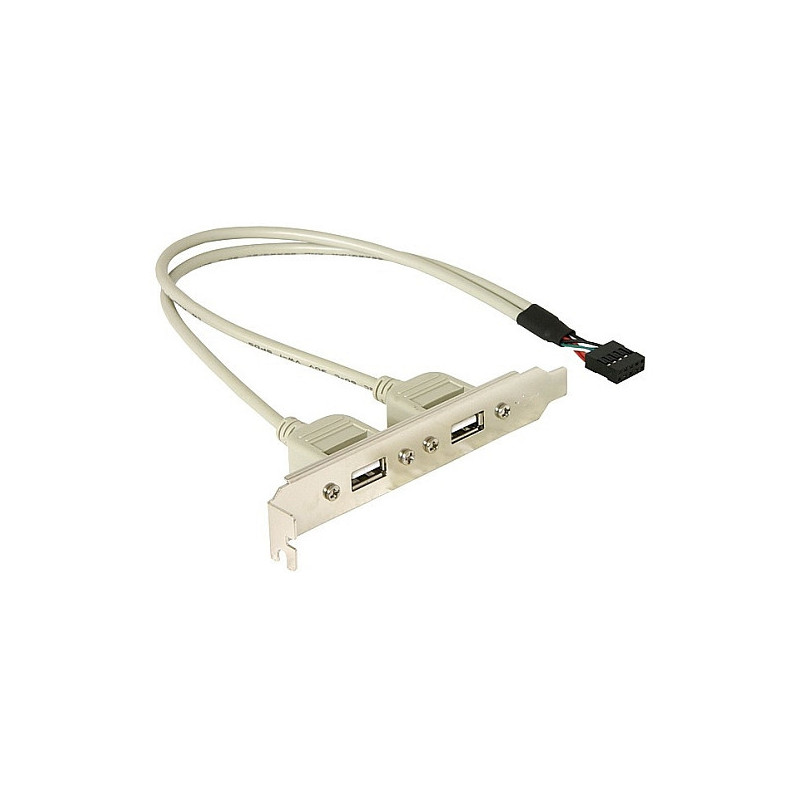 „DeLOCK“ lizdo laikiklis: 1x vidinis USB 5 kontaktų, 2x išorinis USB 2.0