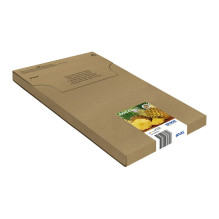 Epson 604XL EasyMail ink cartridge Epson 604XL EasyMail ink cartridge