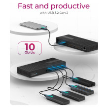 ICY BOX IB-DK2246AC