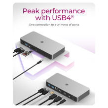 ICY BOX IB-DK2880-C41