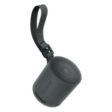 Sony SRS-XB100
