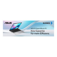 ASUS ExpertBook P1 P1503CVA-S72336