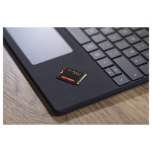 „Western Digital Black WD_BLACK SN770M NVMe“ „Western Digital Black WD_BLACK SN770M NVMe“
