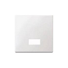 Merten 433819 light switch