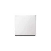 MERTEN 432119 Rocker switch...