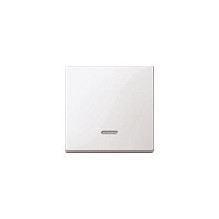 Merten 431019 light switch