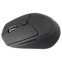 „Conceptronic LORCAN02B Ergo“ pelė
