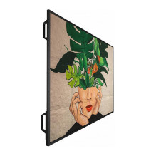 Philips 55BDL4511D / 00 Signage Display