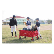 Coleman 2000035214 camping trolley Coleman 2000035214 camping trolley