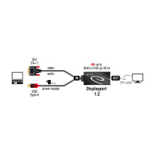 DeLOCK 0.3m, DVI 24+1 + USB-A / Displayport 20p