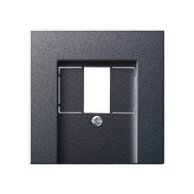 GIRA 027628 wall plate /...