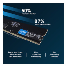 Crucial CT8G56C46U5 memory module