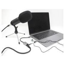 DeLOCK 67071 audio card