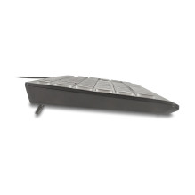 DeLOCK 12170 klaviatūra