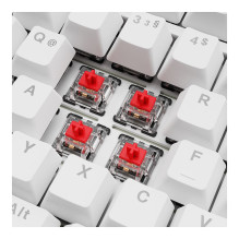 Sharkoon SGK25 keyboard Sharkoon SGK25 keyboard