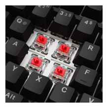 Sharkoon SGK25 keyboard