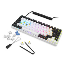 Sharkoon SKILLER SGK50 S3 keyboard