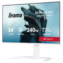 iiyama G-MASTER GB2471HSU-W1 computer monitor