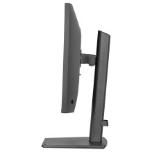 iiyama ProLite XB2493HSU-B1 kompiuterio monitorius