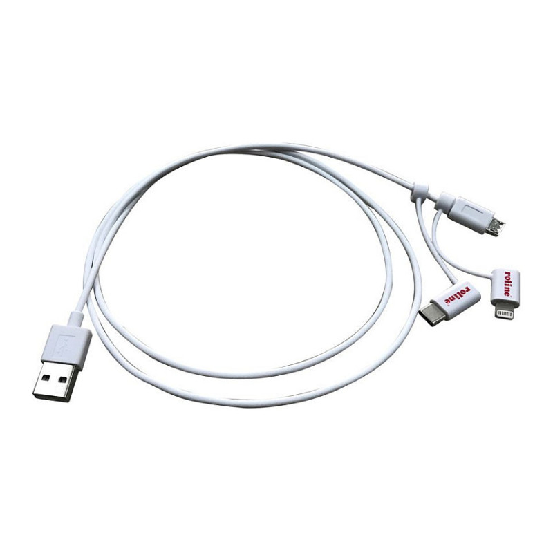 ROLINE 11.02.8329 USB laidas