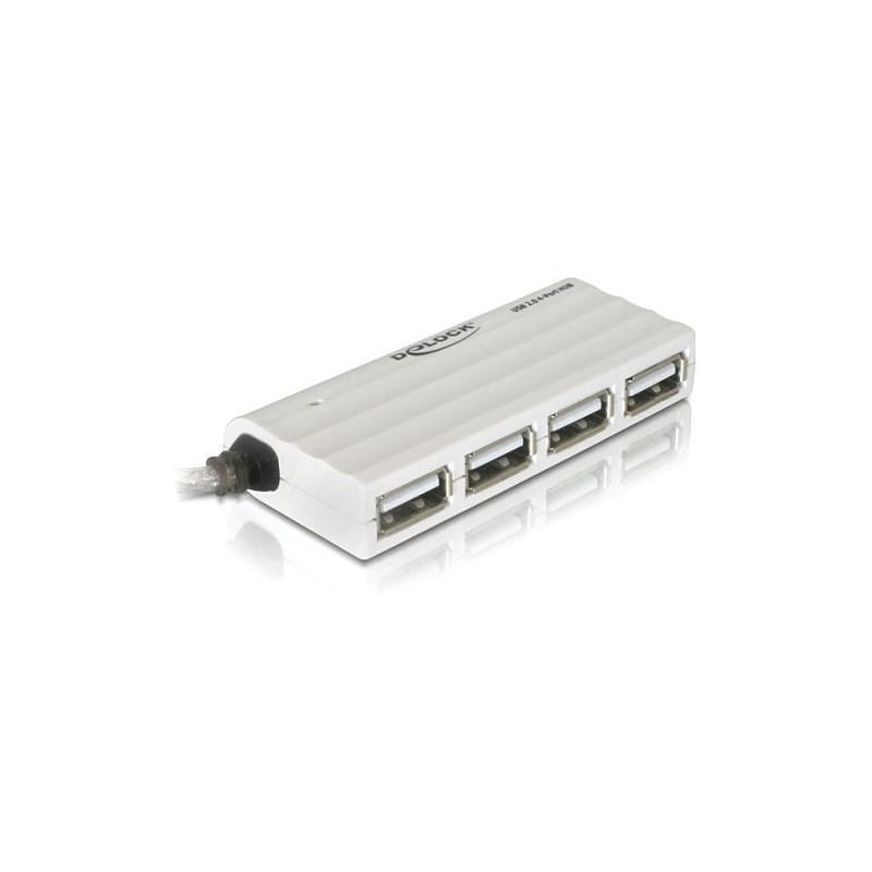 „DeLOCK“ išorinis USB 2.0 šakotuvas su 4 prievadais