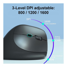 Equip 245120 mouse Equip 245120 mouse