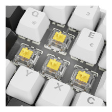 Sharkoon SGK50 S4 keyboard Sharkoon SGK50 S4 keyboard