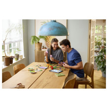 LEGO Botanicals Tulpių puokštė 11501