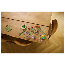 LEGO Botanicals Tulpių puokštė 11501