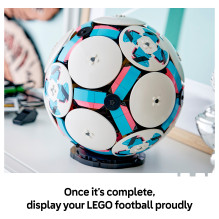LEGO 43019 building toy
