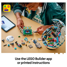 LEGO 43019 building toy