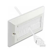 DeLOCK 66496 wall plate / switch cover