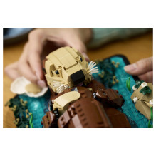LEGO Ideas 21366 building toy