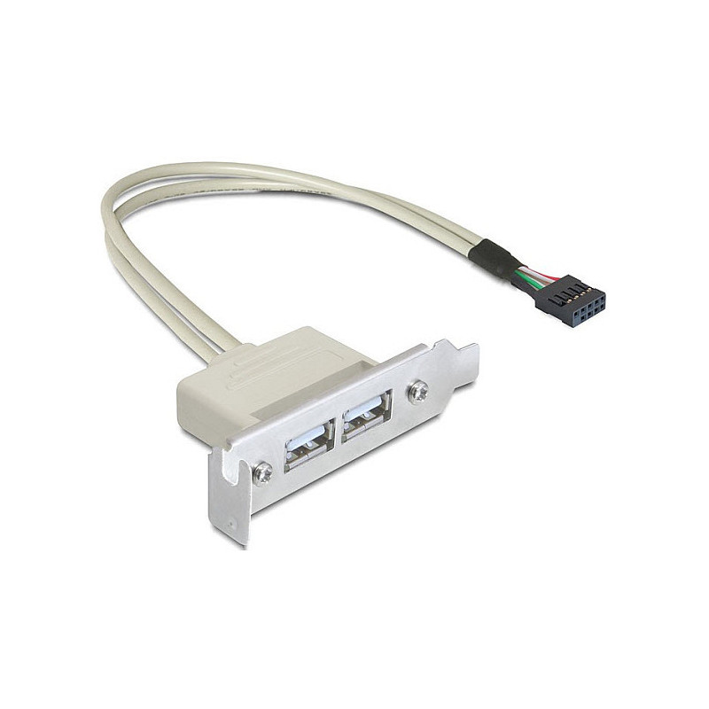 DeLOCK 0,5 m USB 2.0 jungtis