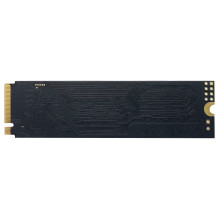 Patriot atmintis P300 Patriot atmintis P300