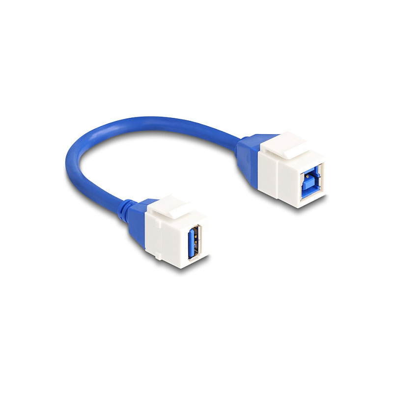 DeLOCK 86970 USB laidas