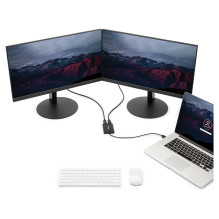 StarTech.com USB32DP24K60 USB graphics adapter