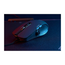 Lexip NP93 pelė