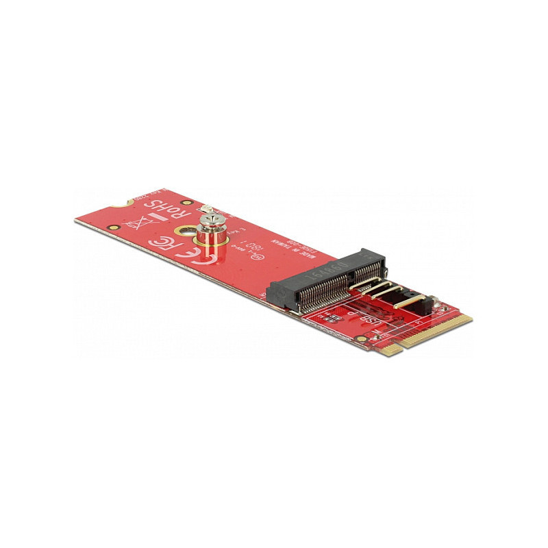 DeLOCK 63343 sąsajos plokštės / adapteris