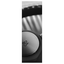 Bang Olufsen BeoPlay Portal