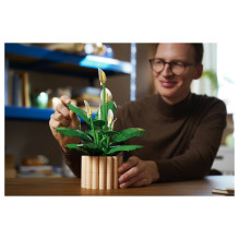 LEGO Botanicals Taikos lelija 11504 LEGO Botanicals Taikos lelija 11504