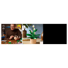 LEGO Botanicals Taikos lelija 11504 LEGO Botanicals Taikos lelija 11504