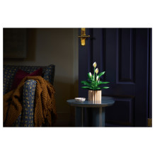 LEGO Botanicals Peace Lily 11504 LEGO Botanicals Peace Lily 11504